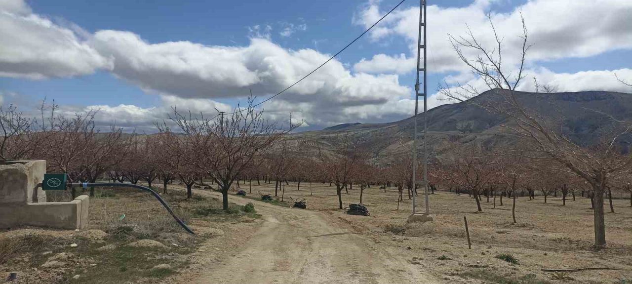 Bahçelerde ateş yakıldı, meyve üreticileri zirai don tehlikesine önlem aldı