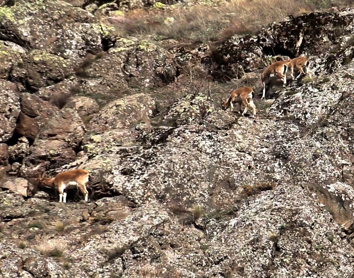 Dağların usta tırmanıcıları sert rüzgâra meydan okudu