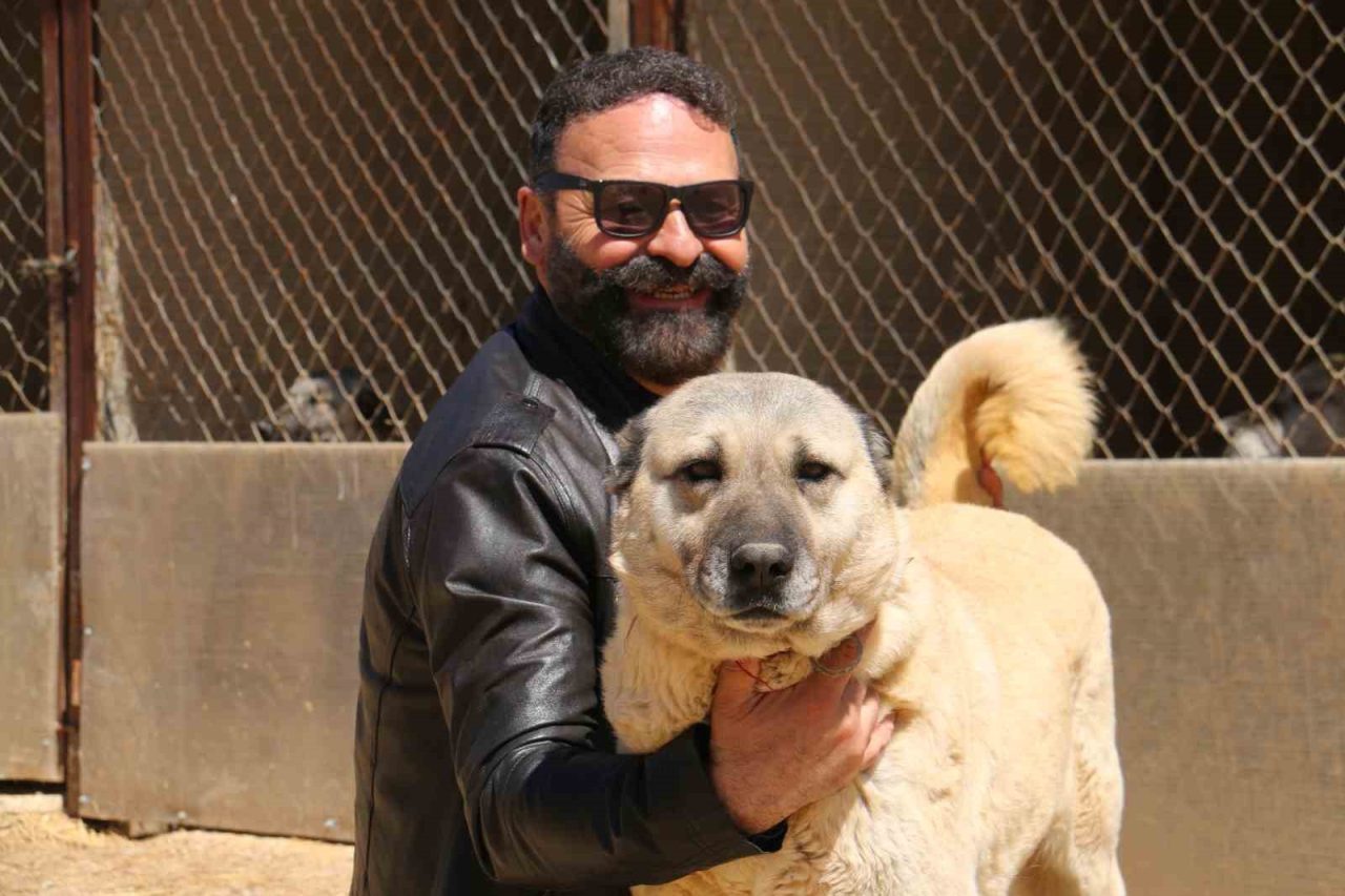 Hava değişiklikleri Kangalları depresyona soktu