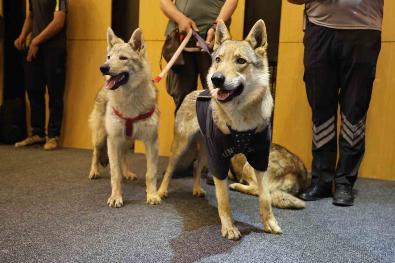 Panelin eşi benzeri görülmemiş katılımcıları dikkat çekti