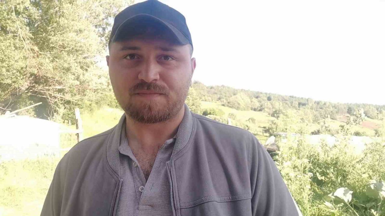 “Keneler, köpekler gibi koku alıp üzerimize geliyor” dedi, o anları kayıt altına aldı