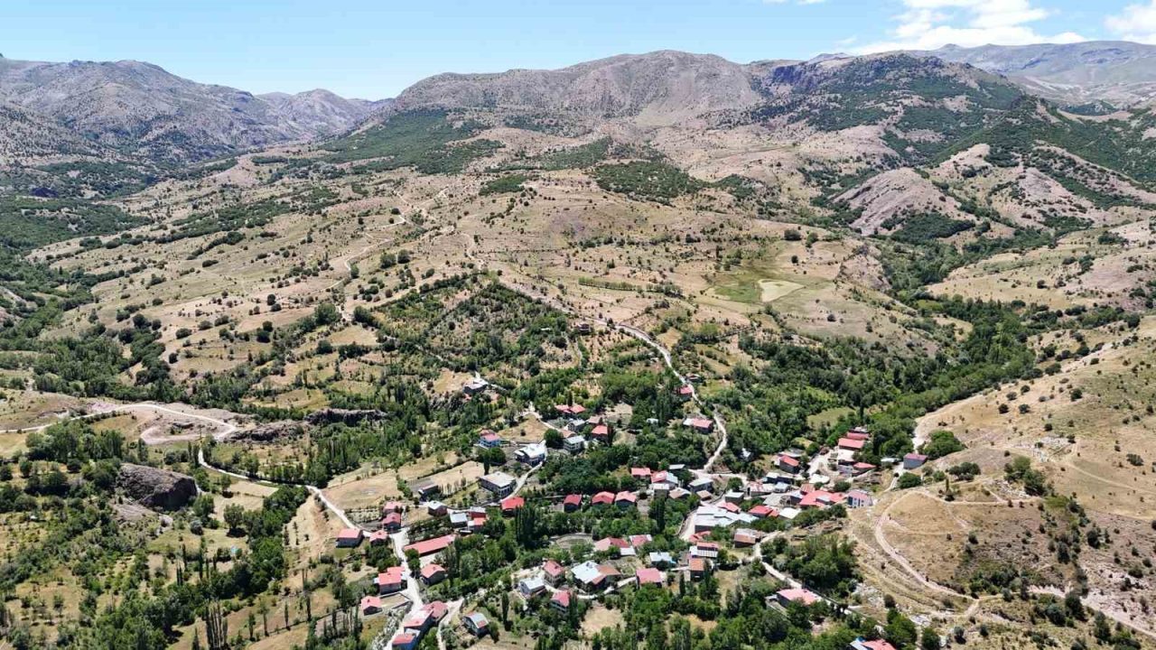 Bozkırın ortasında vahayı andırıyor, yeşilliği ile dikkat çekiyor