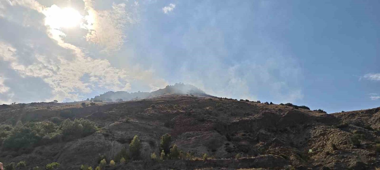 Sivas’ta çıkan orman yangını kısa sürede kontrol altına alındı