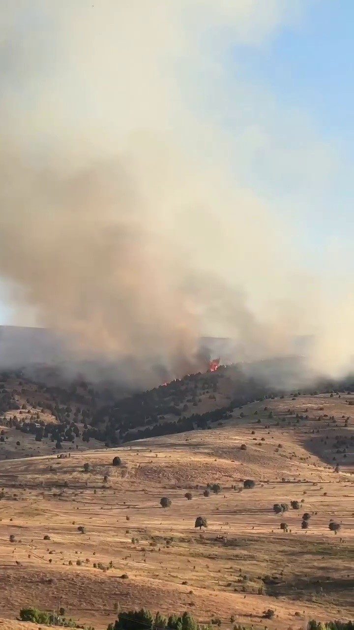 Sivas’ta çıkan örtü yangınına müdahale sürüyor