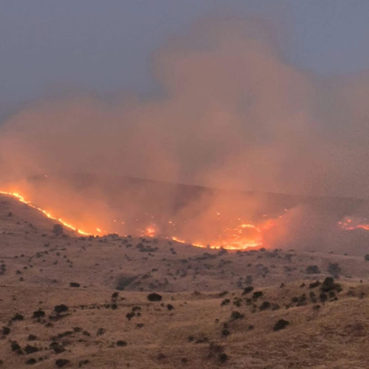 Sivas’ta örtü yangınına ekiplerin müdahalesi sürüyor