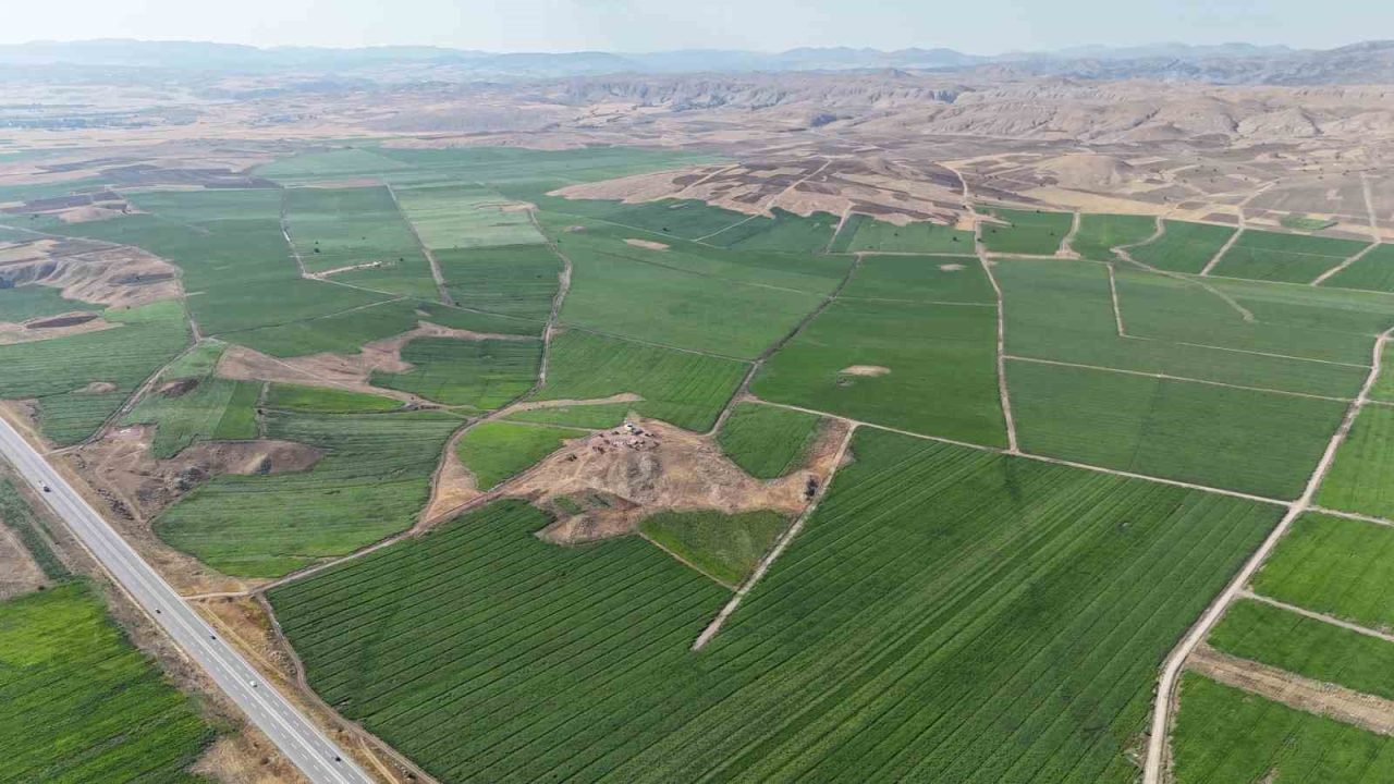 Bozkır yeşerdi, 110 bin dekar alanda yapılan patates ekimi ile 460 bin ton rekolte bekleniyor