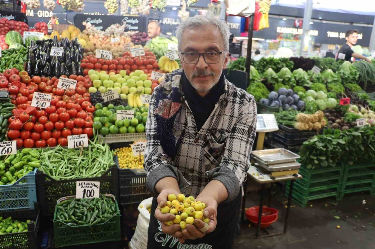 Kalp dostu ’alıç’ meyvesi tezgâhlardaki yerini aldı