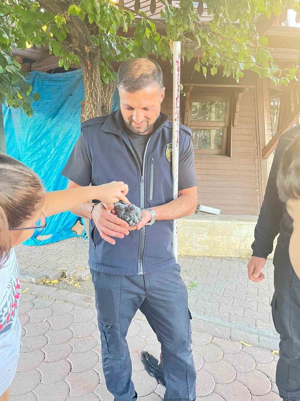 Sivas’ta boruya sıkışan kuşu itfaiye kurtardı