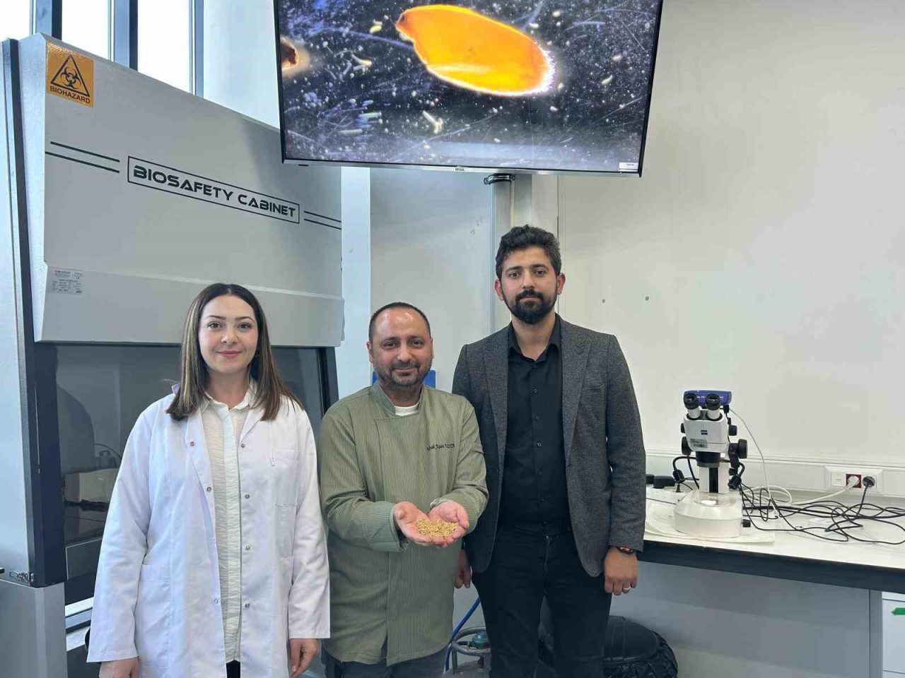 Sivas’ta yerli zeron buğdayından organik bulgur üretildi