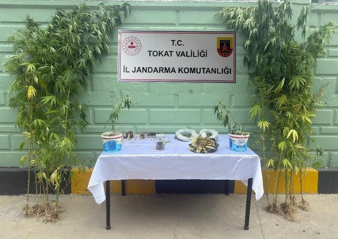 Tokat’ta jandarma ekipleri tarafından 2 ayda 56 kişi hakkında uyuşturucuya bağlı suçlarından işlem yapıldı